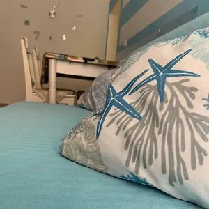 Casa Miconi Beach Capraia